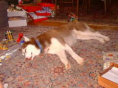 Image file: photo04.jpg