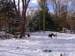 Image file: photo01.jpg