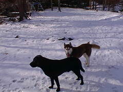 Image file: photo05.jpg