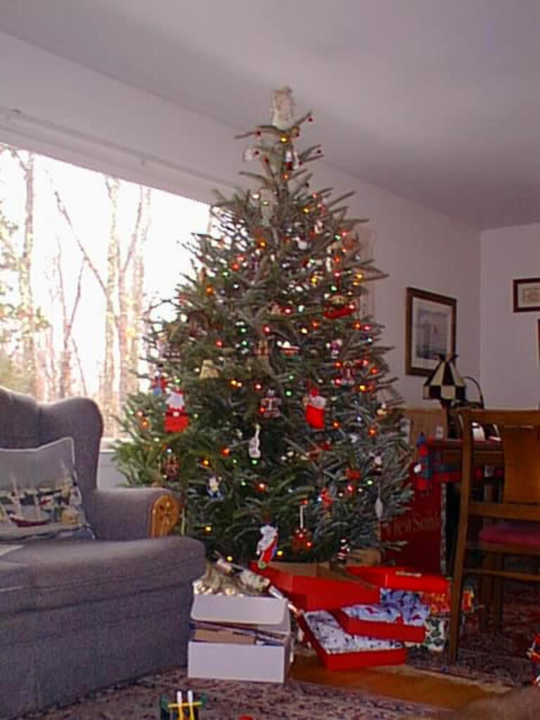 No description provided for: /1997/1225-1-christmas-morning/photo05.html