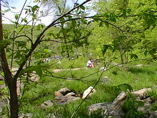 No description provided for: /1999/0523-kent-falls/_2/photo-23.html