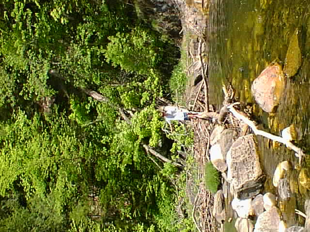 No description provided for: /1999/0523-kent-falls/_2/photo-24.html