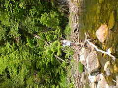 Image file: photo-24.jpg