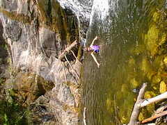 Image file: photo-28.jpg