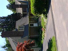 Image file: willow-dr-01.jpg