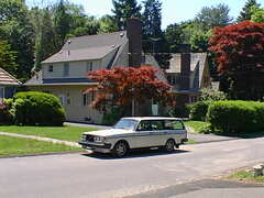 Image file: willow-dr-03.jpg