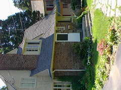 Image file: willow-dr-06.jpg