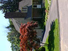 Image file: willow-dr-11.jpg