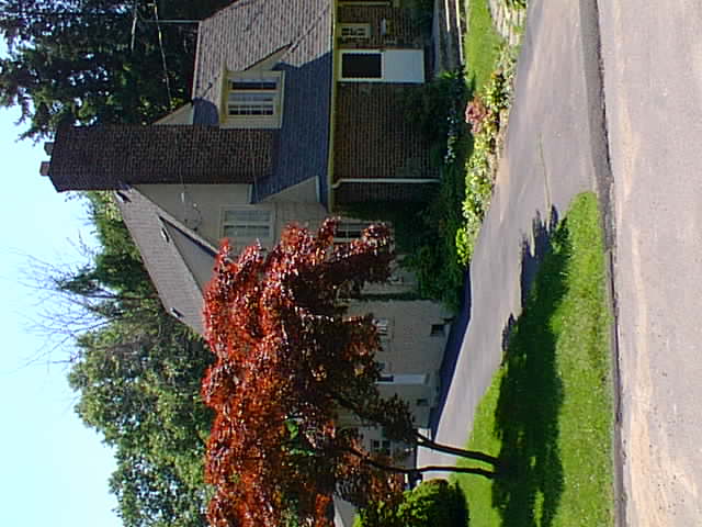 No description provided for: /1999/0606-willow-dr/willow-dr-11.html