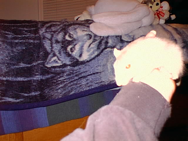 No description provided for: /2000/1121-critters/critters-03.html