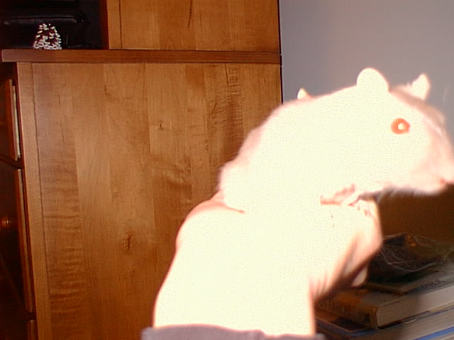 No description provided for: /2000/1121-critters/critters-07.html