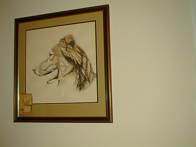 No description provided for: /2000/1121-critters/critters-09.html