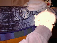 Image file: critters-03.jpg