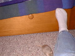 Image file: critters-05.jpg