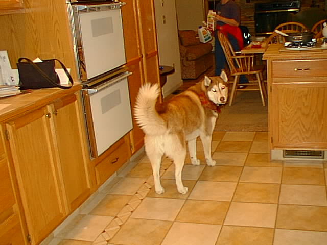 No description provided for: /2000/1216-snowball/snowball-01.html