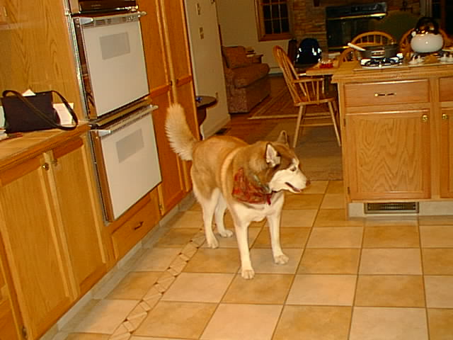 No description provided for: /2000/1216-snowball/snowball-02.html