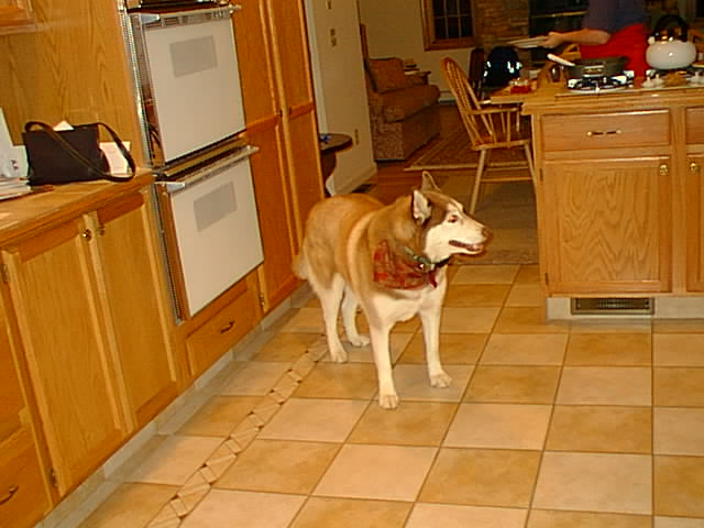 No description provided for: /2000/1216-snowball/snowball-03.html