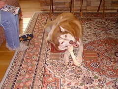 Image file: photo04.jpg