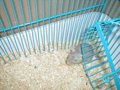 Image file: xmas2000-03.jpg