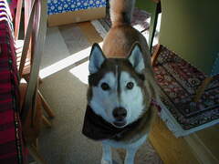 Image file: xmas2000-09.jpg