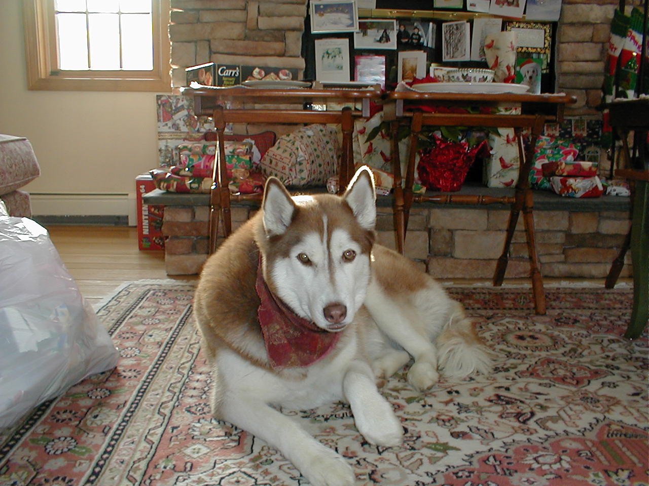 No description provided for: /2000/1227-xmas/_1/xmas2000-01.html