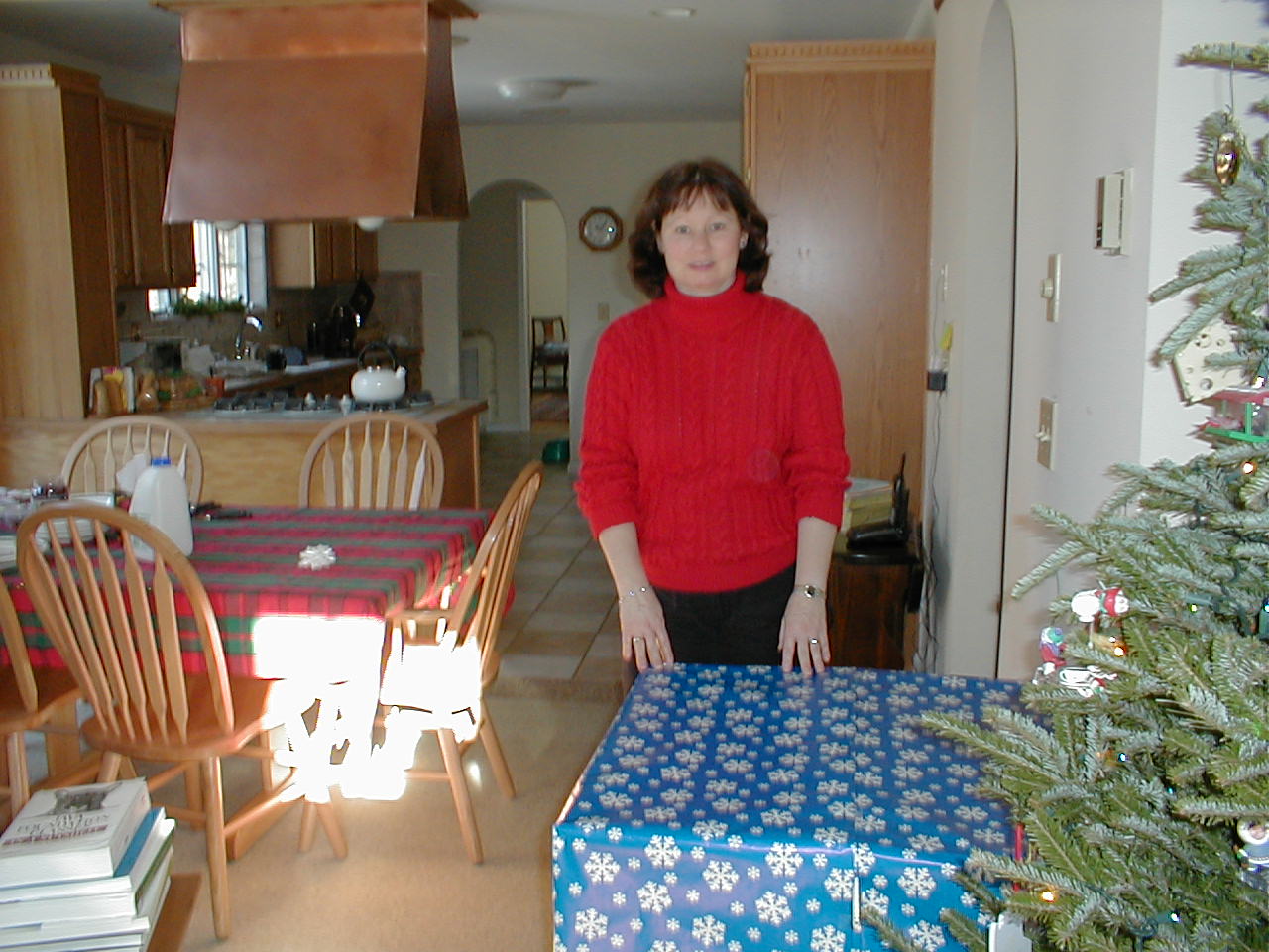 No description provided for: /2000/1227-xmas/_1/xmas2000-12.html