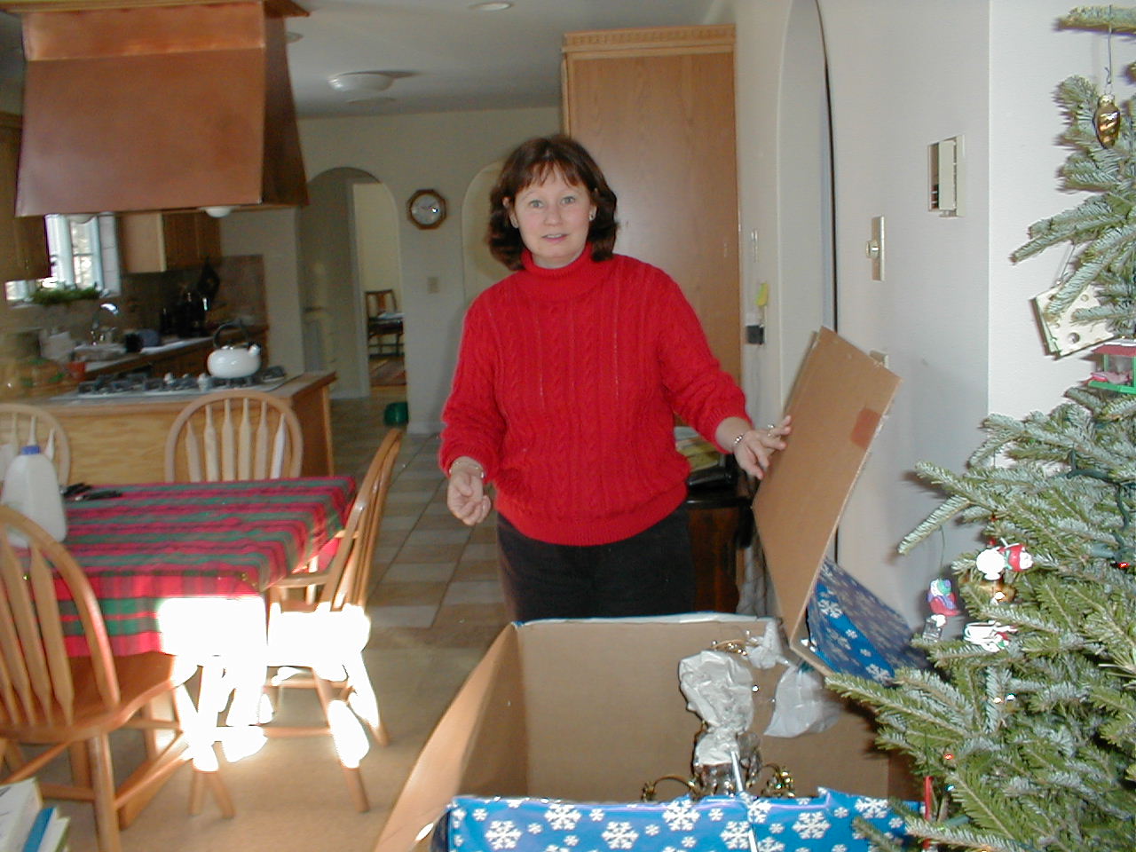 No description provided for: /2000/1227-xmas/_1/xmas2000-17.html