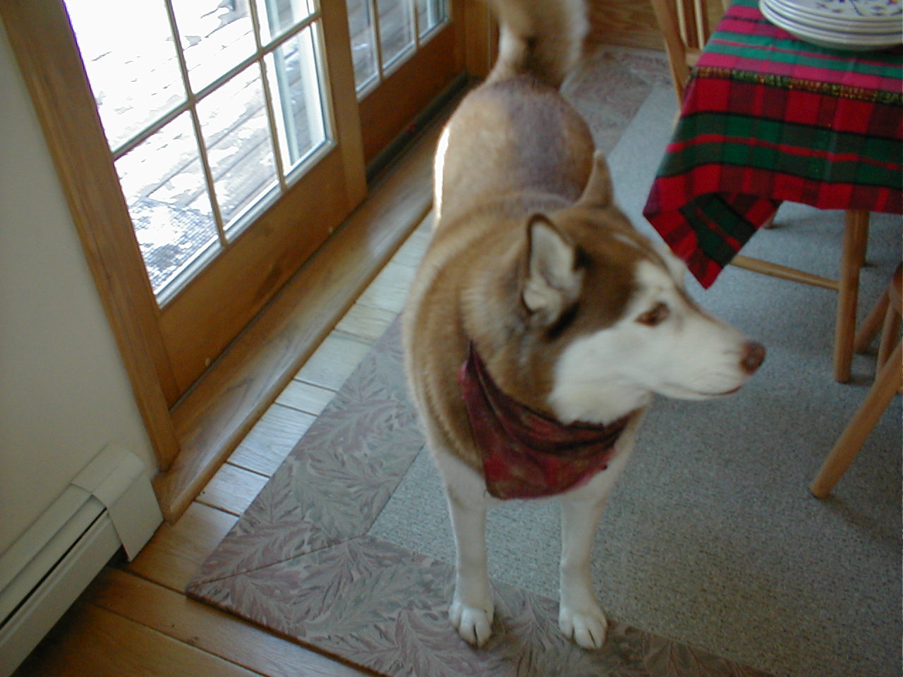 No description provided for: /2000/1227-xmas/_1/xmas2000-18.html