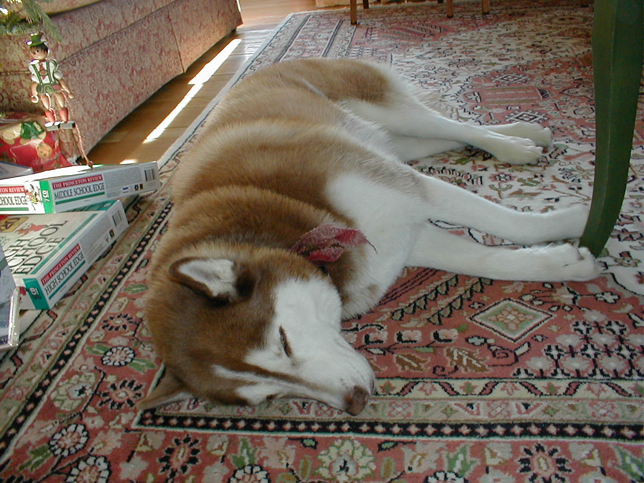 No description provided for: /2000/1227-xmas/_2/xmas2000-21.html