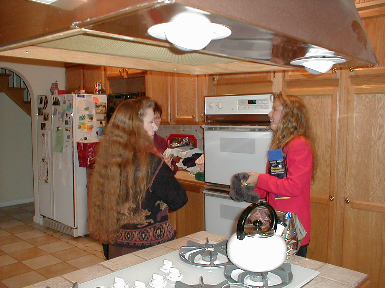 No description provided for: /2000/1227-xmas/_2/xmas2000-28.html