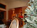 Image file: _3/xmas2000-47.jpg