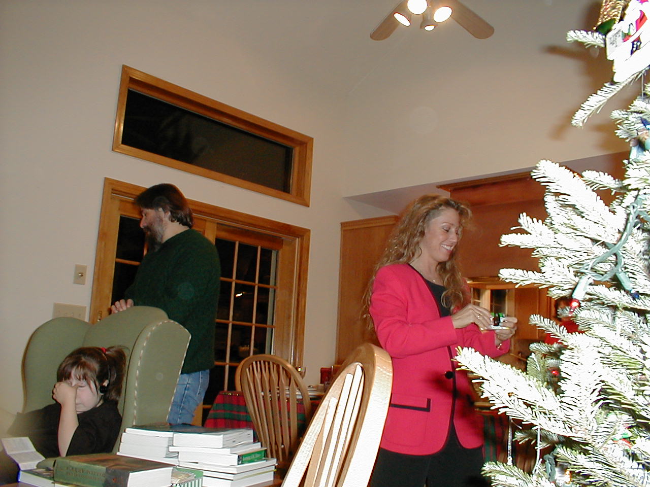 No description provided for: /2000/1227-xmas/_3/xmas2000-46.html