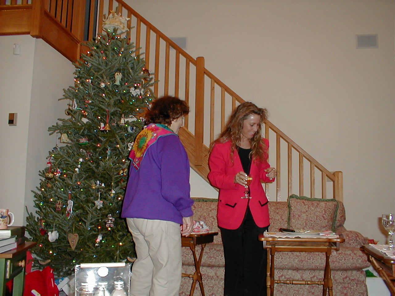 No description provided for: /2000/1227-xmas/_4/xmas2000-66.html