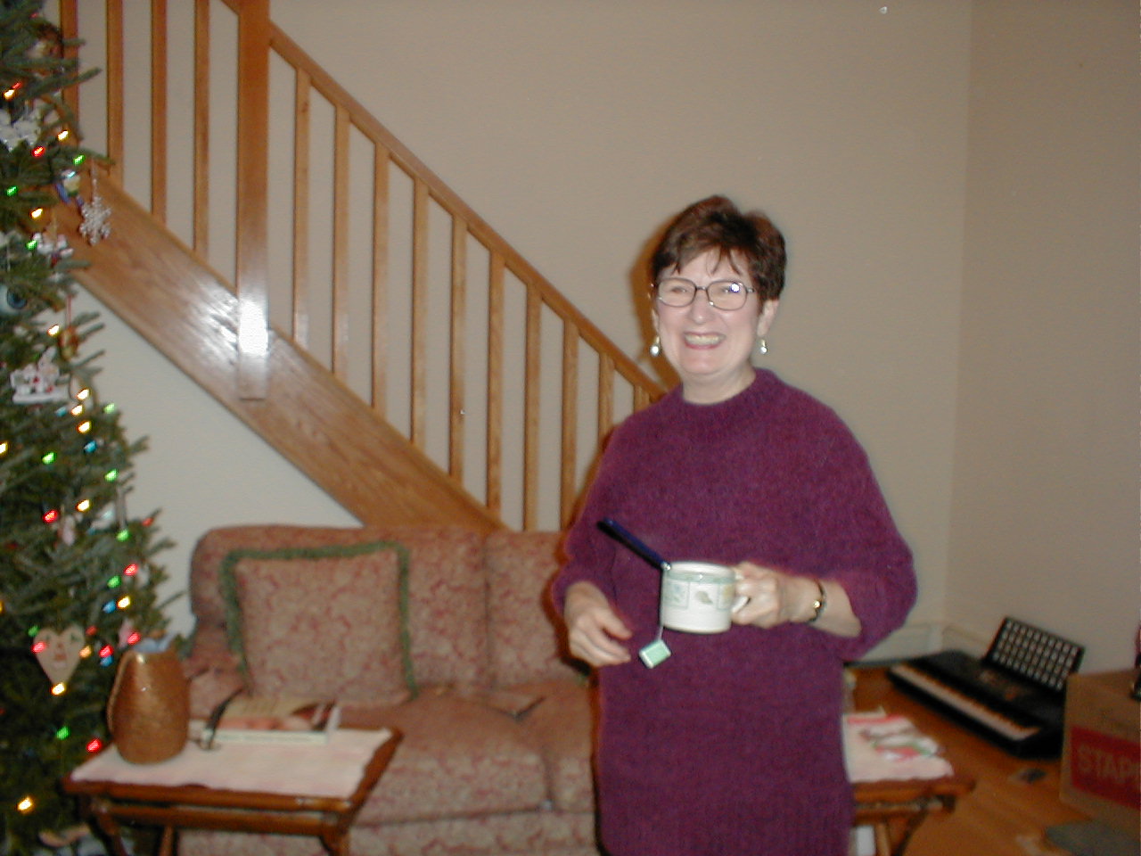 No description provided for: /2000/1227-xmas/_5/xmas2000-87.html