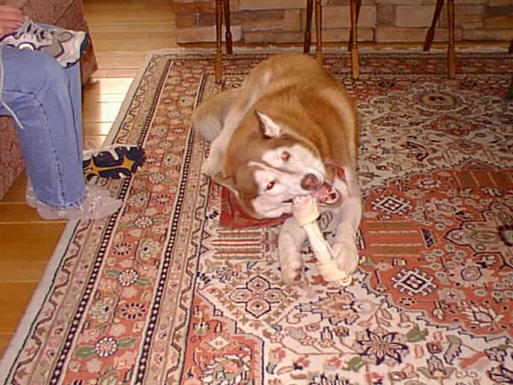 No description provided for: /2000/1224-xmas-eve/photo04.html