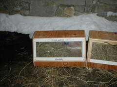 Image file: sci-04.jpg