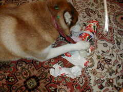 Image file: photo01.jpg