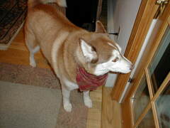 Image file: photo08.jpg