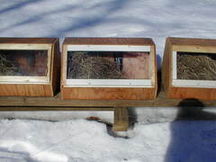 Image file: hutches-02.jpg