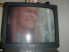 Image file: photo37.jpg