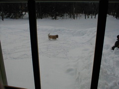 Image file: snow-shots-01.jpg