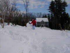 Image file: snow-shots-06.jpg