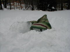 Image file: snow-shots-16.jpg