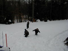 Image file: snow-shots-18.jpg