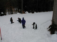 Image file: snow-shots-19.jpg