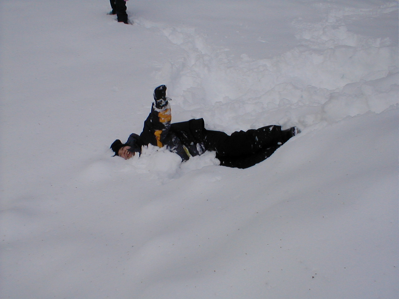 No description provided for: /2001/01-03/0331-snow-shots/snow-shots-04.html