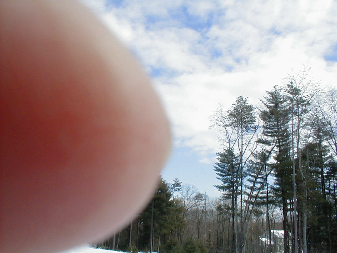 No description provided for: /2001/01-03/0331-snow-shots/snow-shots-09.html