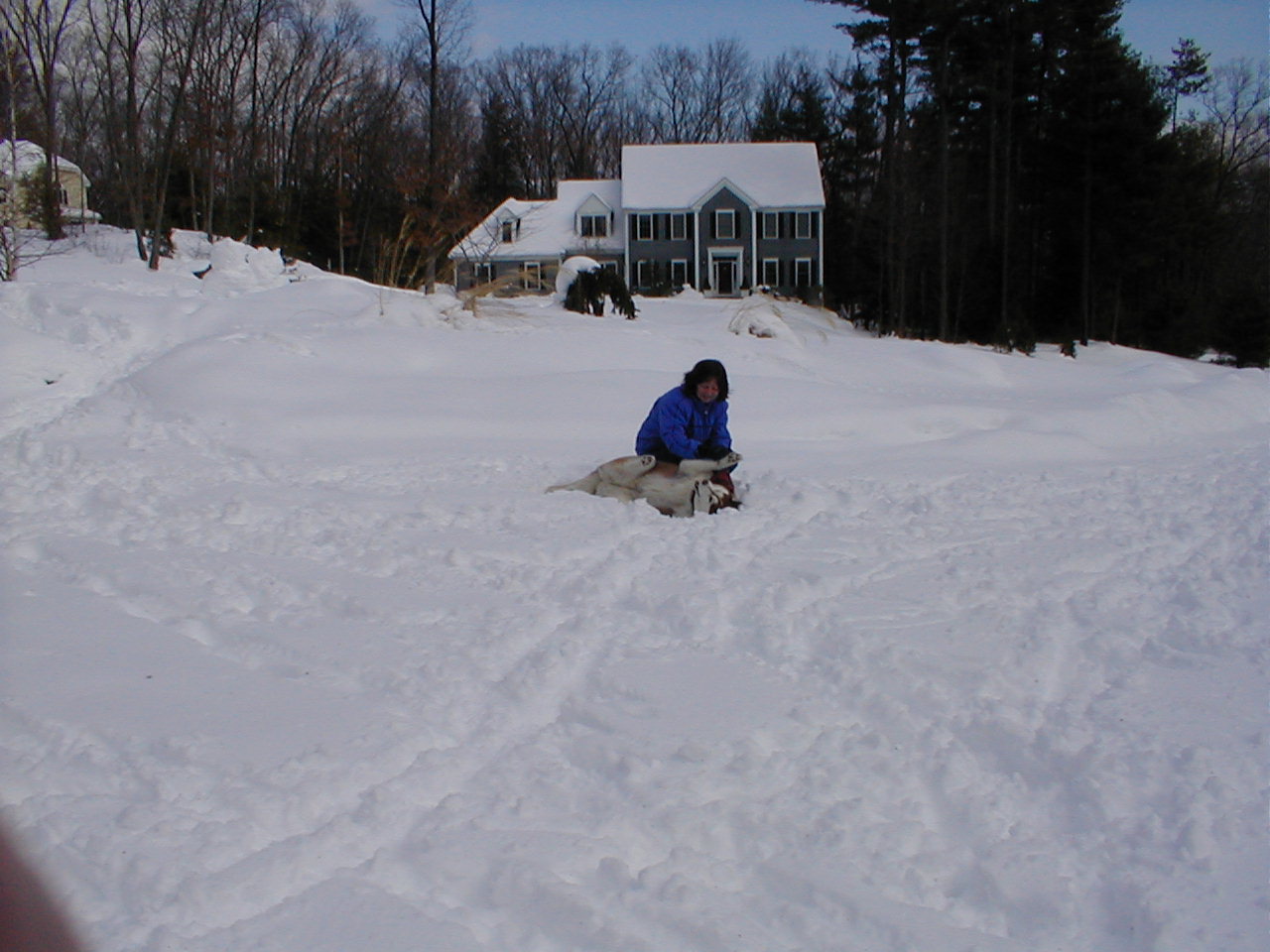 No description provided for: /2001/01-03/0331-snow-shots/snow-shots-10.html