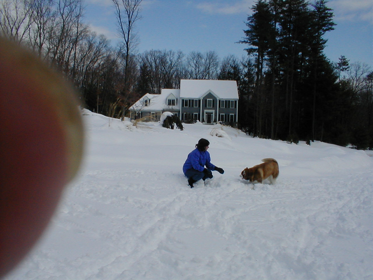 No description provided for: /2001/01-03/0331-snow-shots/snow-shots-11.html