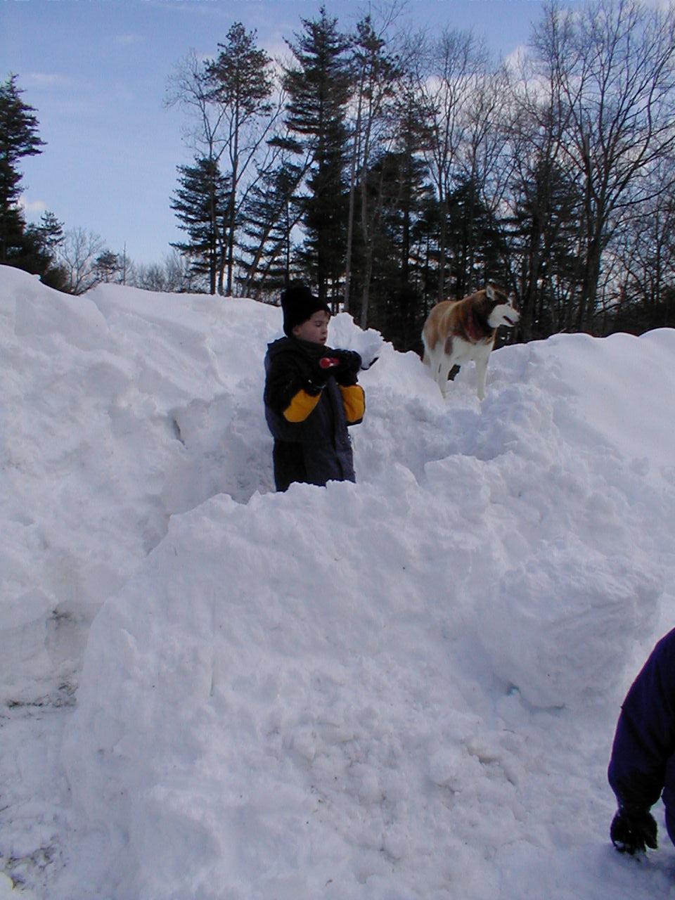 No description provided for: /2001/01-03/0331-snow-shots/snow-shots-13.html